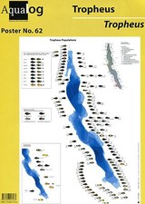 AQUALOG Poster All Tropheus Cichlids, LAMINATED