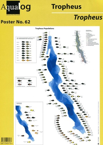 Aqualog poster all tropheus - poster,