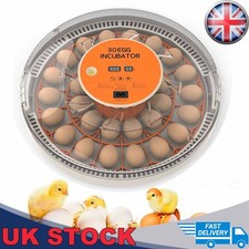 30EGG Intelligent Incubator