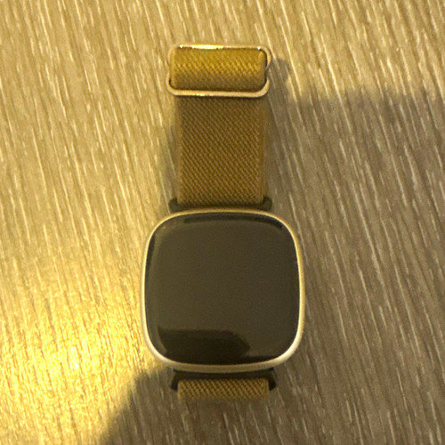 Fitbit versa 40mm silver - fitbit,