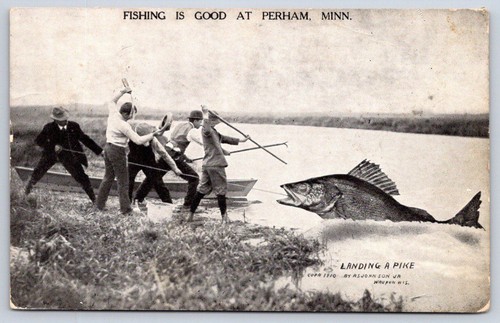 Vintage minnesota postcard - vintage,