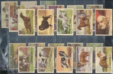 Nabisco - 'Crispies Favourite