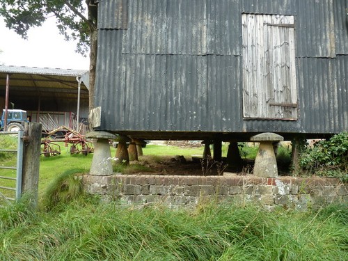 Photo staddle stone - photo, a1