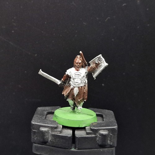 Painted warhammer lotr - painted,