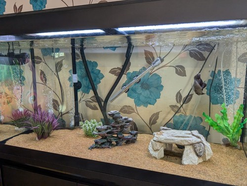 Fluval roma 200l - 200l, set