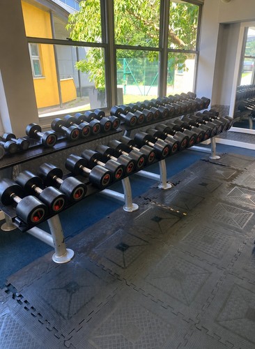 Lifefitness dumbbell set - dumbbell,