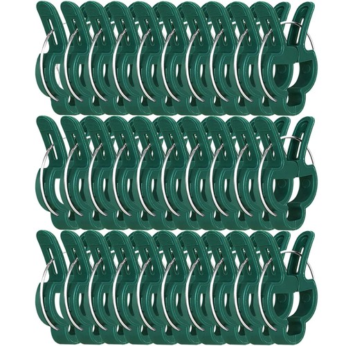 Pcs large 4 inch - large, plant