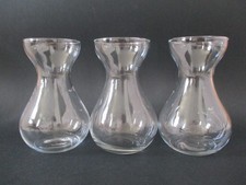 X3 Clear Glass Hyacinth Bulb