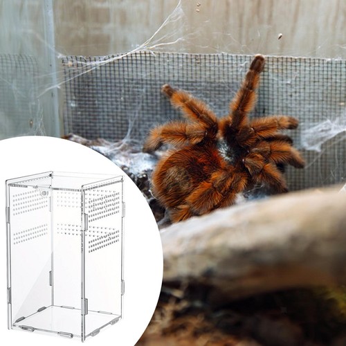 Arboreal reptile tank jumping - tank,
