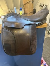 Immaculate Fylde Samantha