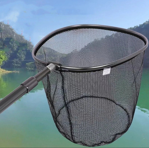 Fishing net head fish - fish, catch