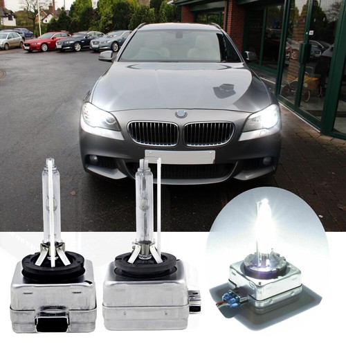 D1s bulbs xenon 6000k - d1s, low