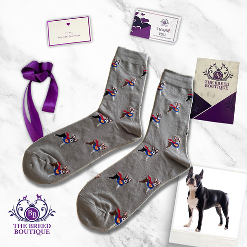 Boston terrier superhero - terrier, socks