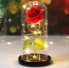 Valentine Day Gift Galaxy Rose Flowers Beauty and the Beast Rose Wedding Decor