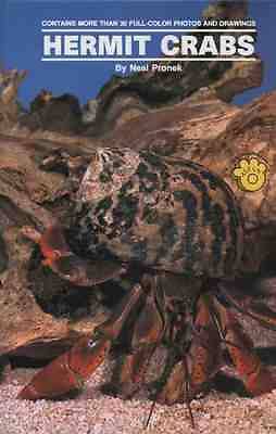 Land hermit crabs neal - land,