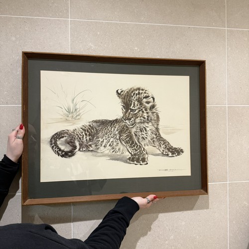 Vintage framed print tiger - print, cub