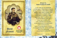 Saint Francis with Relic and