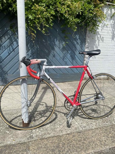 Moser 51 151 italian - 🇮🇹,