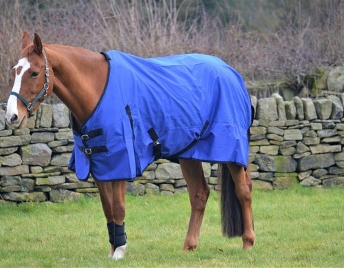 Sale clearance rain - sale!,