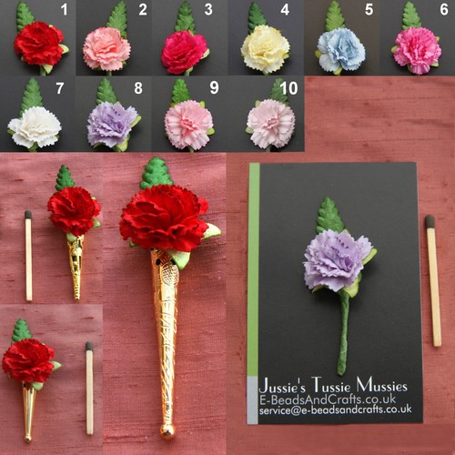 Carnation posy tussie - 1x, posy: