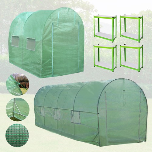 Polytunnel greenhouse walk - polytunnel,
