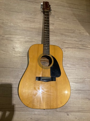 Vintage fender gemini - fender, ii