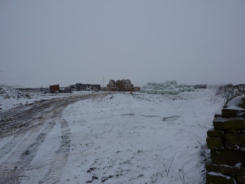 Photo silage bales and a - bales,