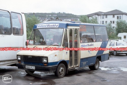 Bus photo midland bluebird - bus,