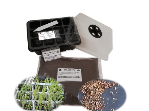 Grow your own - your,