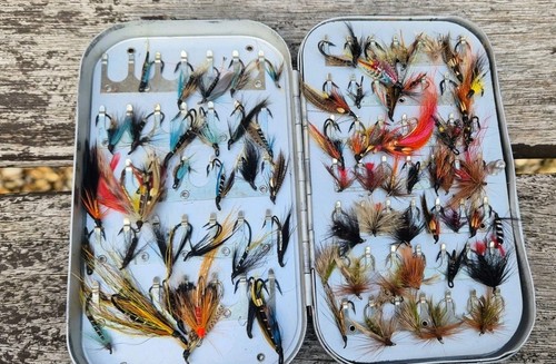 Good lot salmon and trout - good,