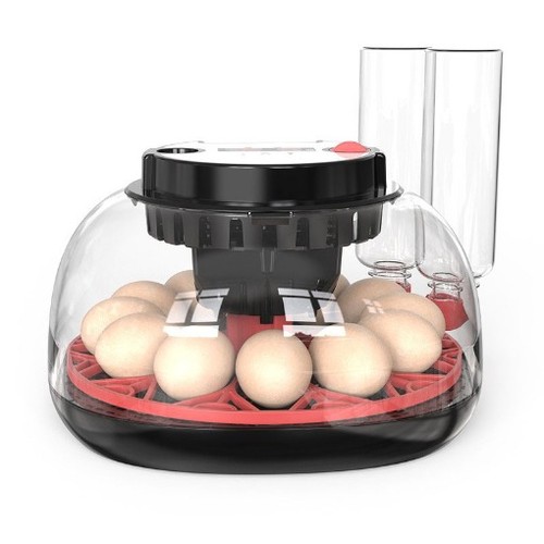 Eggs automatic egg - automatic,