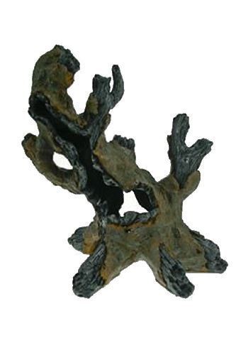 Reptile aquarium fish - aquarium,