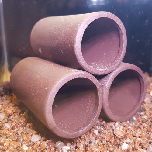 Pyramid tunnel shrimp - tunnel, shrimp/pleco