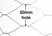 Galvanised Chicken Wire Mesh