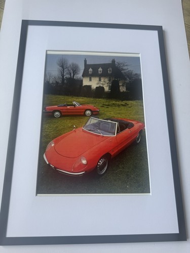 New framed alfa - alfa, spider