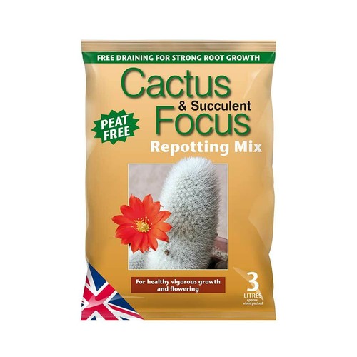 Cactus compost succulent aloe - cactus,