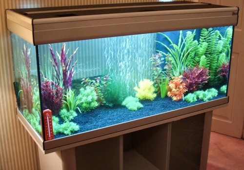 180l aquarium fish tank joblot - aquarium,