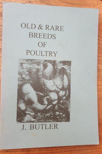 Old rare breeds of poultry - breeds,