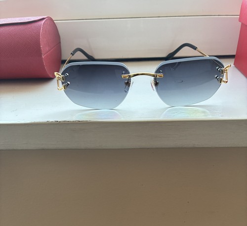 Santos cartier sunglasses - cartier,