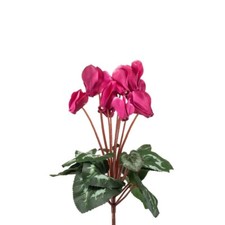 Faux Silk Cyclamen Bush 8