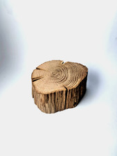 1 Rustic Oak Driftwood Log Natural Wood for Craft  Display Slice