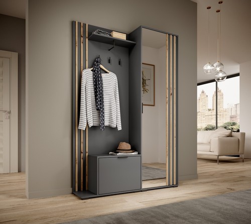 Entrance cabinet dressing room