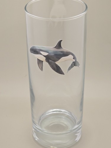Orca whale glass - glass, great