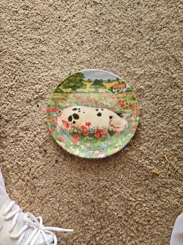 Royal doulton poppy - royal, 'poppy'