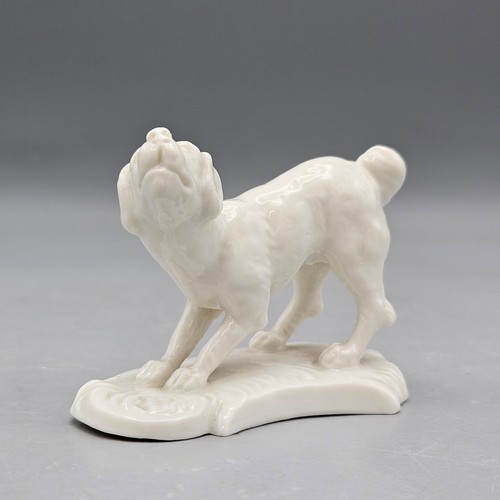 Vintage nymphenburg porcelain - vintage,
