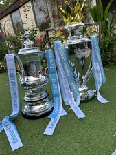 FA Cup Full Size 60cm Football