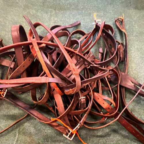 Job lot horse tack - of,