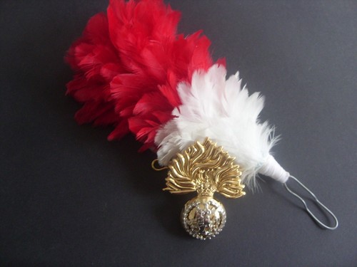 Royal regiment fusiliers - regiment,