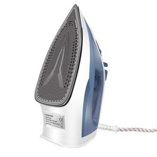 Dayplus 2400W Electric Steam