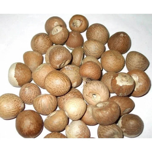 Betel nuts whole organic - organic, dried